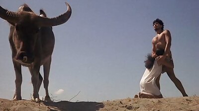 หญิงชรา busty หลังจากอาบน้ำยังไงพวกับผู้ชายเพื่อเงิน วิดีโอ เลีย หี